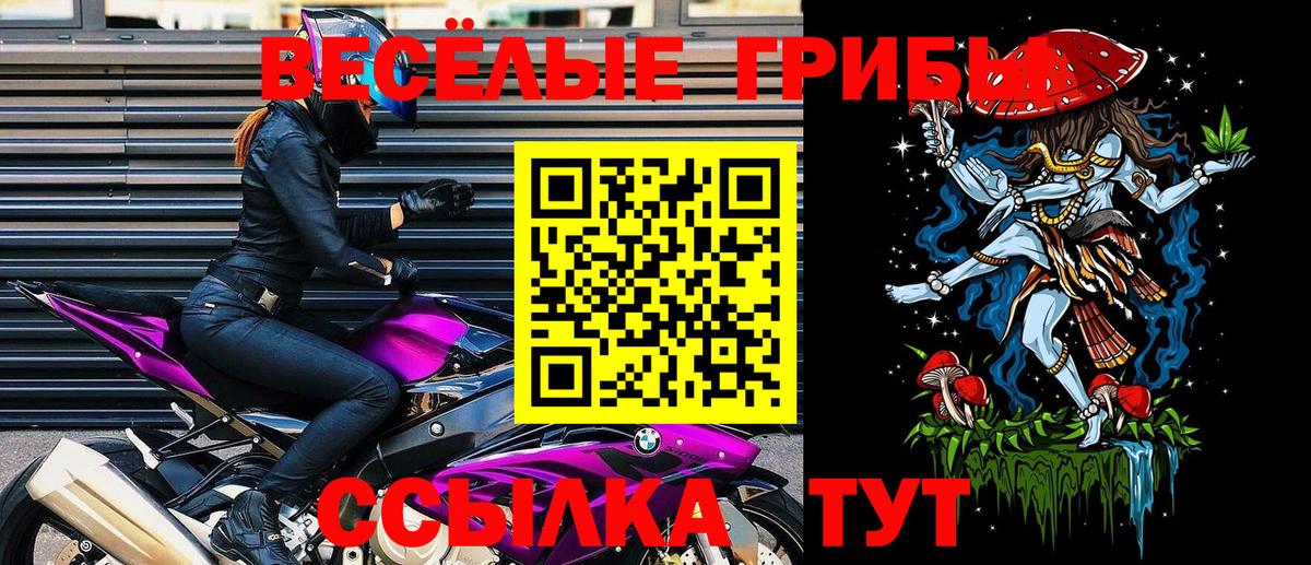 Сосновоборск  Псилоцибиновые грибы мухоморы  даркнет сайт  Вход с VPN 