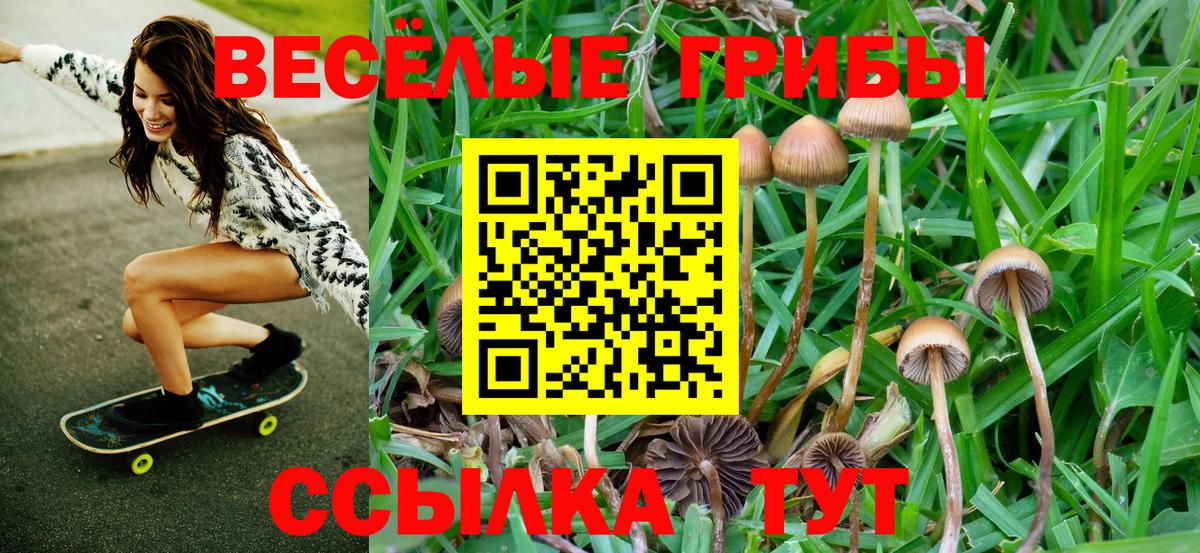Галлюциногенные грибы ЛСД Сосновоборск